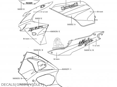 DECALS(GREEN/VIOLET) - ZX600G1 NINJA ZX6R 1998 EUROPE UK FR NL AR FG GR IT NR SD SP