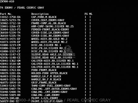 1993 ZX900-A10    T4 EBONY / PEARL COSMIC GRAY - ZX900A10 GPZ900R 1993 NETHERLANDS FG