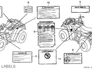 LABEL,COLO*TYPE3* LABEL,COLO*TYPE3*