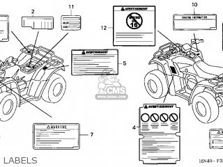 LABEL,COLO*TYPE3* LABEL,COLO*TYPE3*
