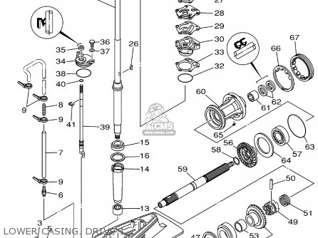 Yamaha 30 схема редуктора