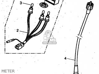 BULB BULB