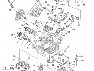GASKET, STRAINER COVER GASKET, STRAINER COVER