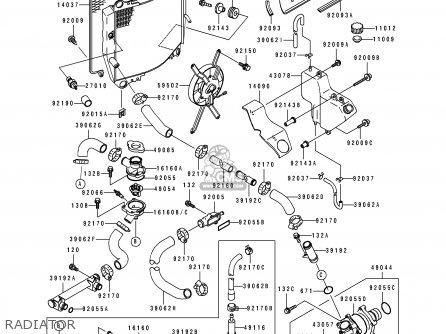 Body, Thermostat, Lwr photo