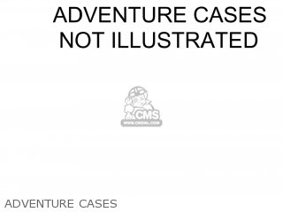 ADVENTURE CASES - DL1000 VSTROM 2012 (L2) USA (E03)