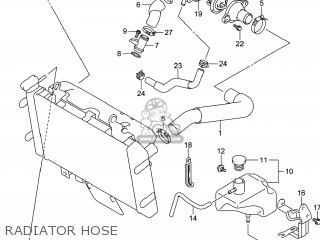 RADIATOR HOSE - DL650A VSTROM 2014 (L4) USA (E03)