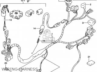 WIRING HARNESS - DR200SE 2000 (Y) USA (E03)