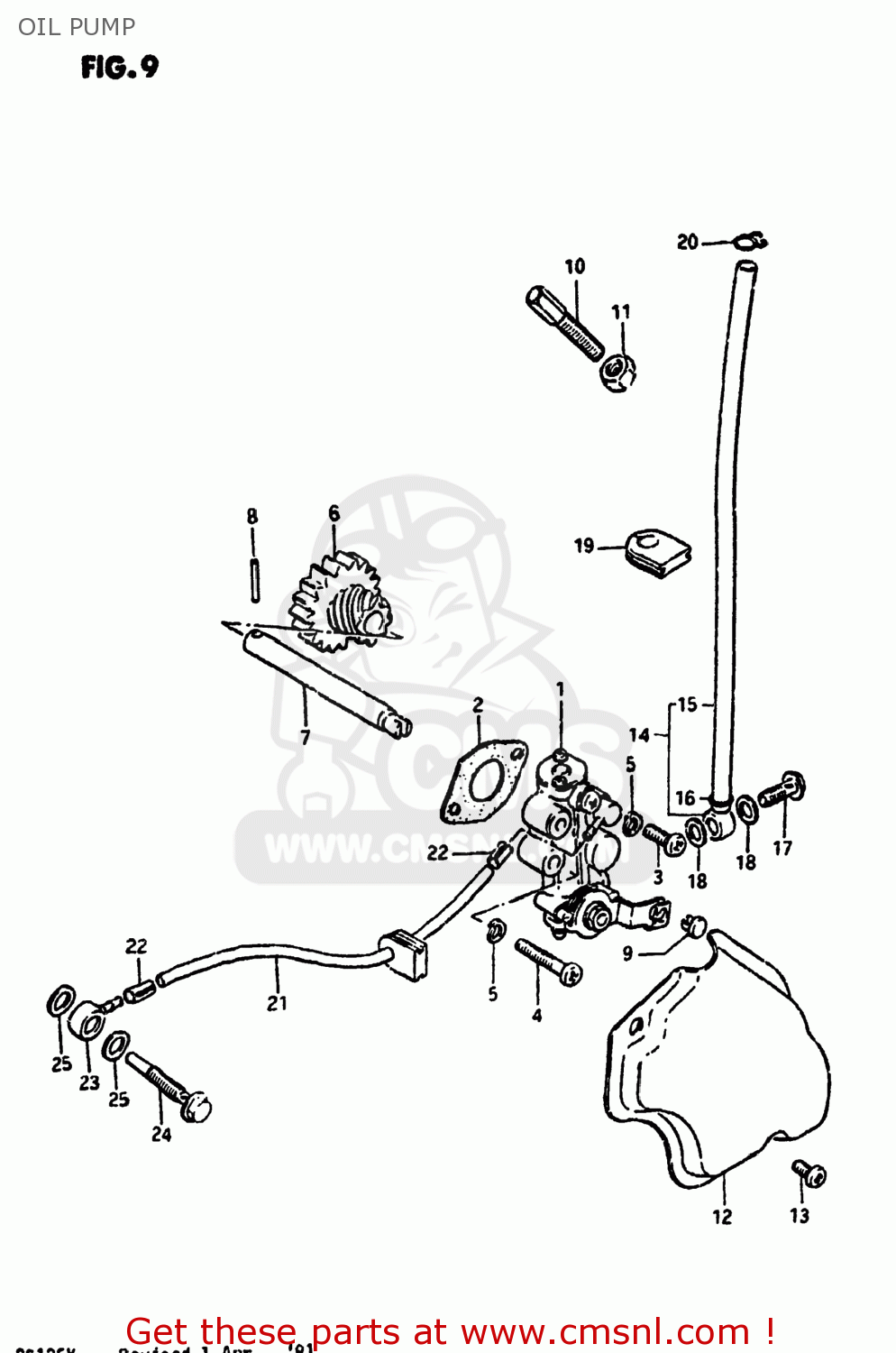 OIL PUMP DS125 1981 (X) USA (E03)