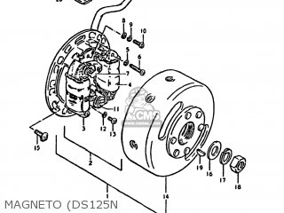 MAGNETO (DS125N - DS125 1981 (X) USA (E03)