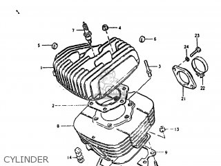 CYLINDER - DS250 1980 (T) USA (E03)