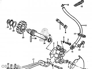 OIL PUMP - DS250 1980 (T) USA (E03)