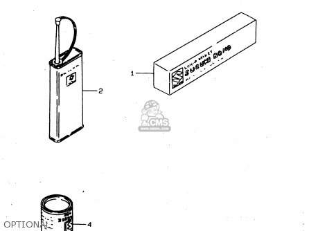 OPTIONAL - DS80 1999 (X) USA CANADA (E03 E28)