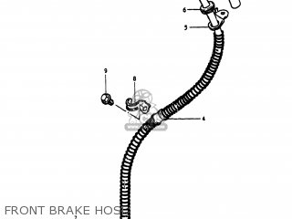FRONT BRAKE HOSE - GS250T 1981 (X) USA (E03)