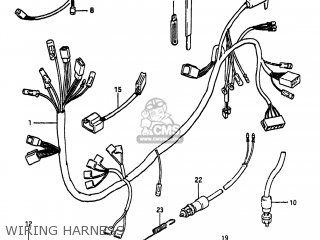 WIRING HARNESS - GS300L 1983 (D) USA (E03)