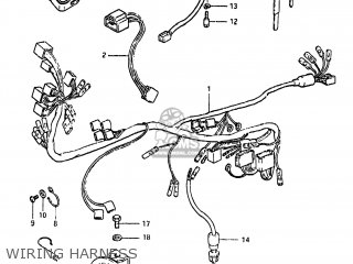 WIRING HARNESS - GS450E 1983 (D) USA (E03)