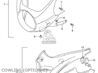 COWLING (OPTIONAL) - GS500 2001 (K1) USA (E03)