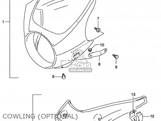COWLING (OPTIONAL) - GS500E 1998 (W) USA CANADA (E03) (E28)