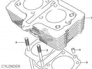 CYLINDER - GS500E 2000 (Y) USA CANADA (E03) (E28)