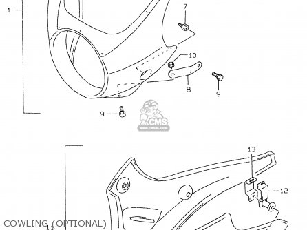 COWLING (OPTIONAL) - GS500EU 2000 (Y)