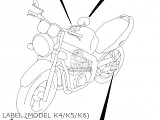 LABEL (MODEL K4/K5/K6) - GS500F 2005 (K5) USA (E03)