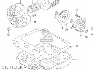 OIL FILTER - OIL PUMP - GS500F 2005 (K5) USA (E03)