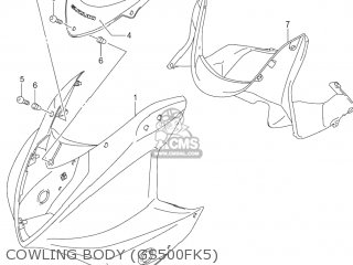 COWLING BODY (GS500FK5) - GS500F 2006 (K6) USA (E03)