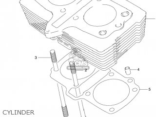 CYLINDER - GS500F 2006 (K6) USA (E03)