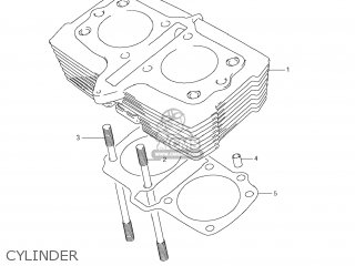 CYLINDER - GS500F 2009 (K9) USA (E03)