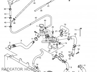 RADIATOR HOSE - GSF1250SA BANDIT 2008 (K8) CALIFORNIA (E33)