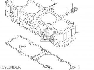 CYLINDER - GSF1250SA BANDIT 2009 (K9) CALIFORNIA (E33)