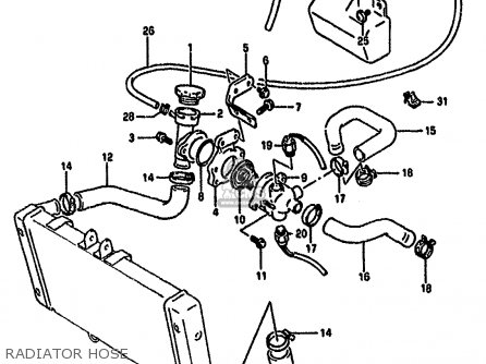 RADIATOR HOSE - GSF400 1991 (M) (E02 E04 E16 E21 E22 E24 E25 E34 E53)