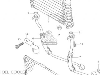 OIL COOLER - GSF600S BANDIT 2000 (Y) USA (E03)