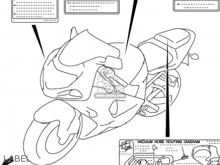 LABEL - GSXR1000 2002 (K2) USA (E03)