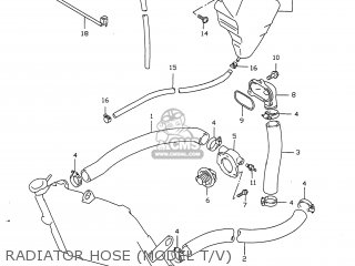 RADIATOR HOSE (MODEL T/V) - GSXR750 1996 (T) USA (E03)