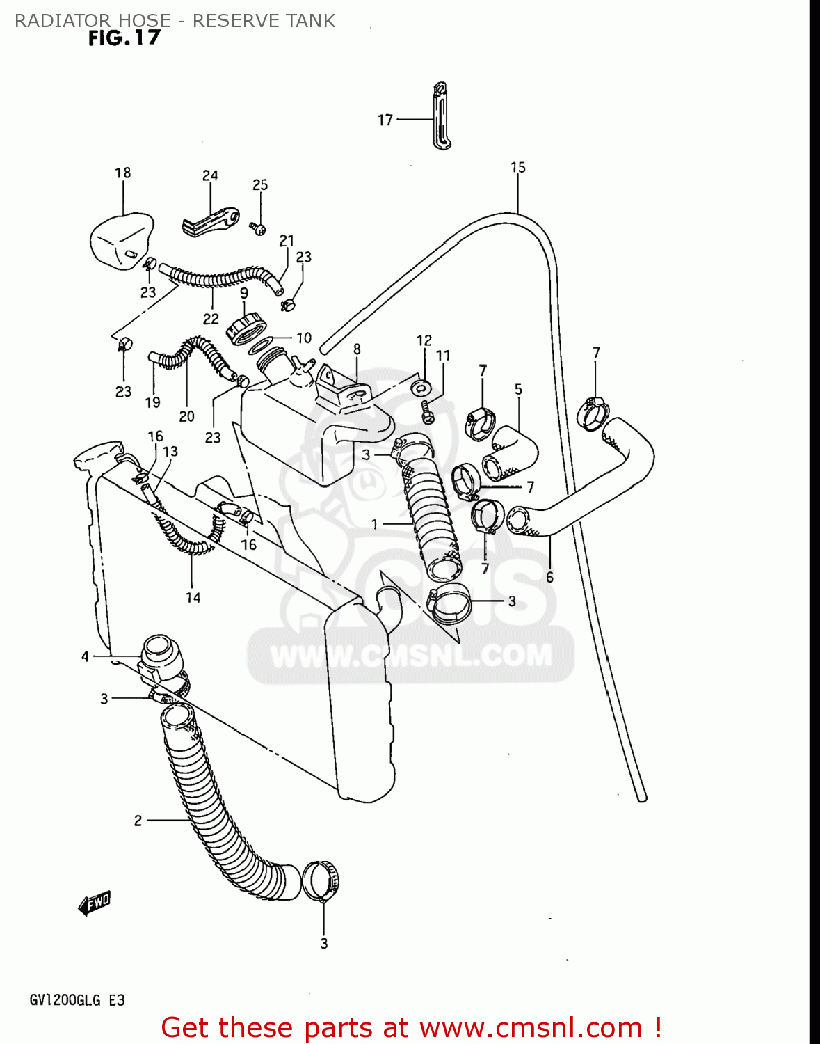 RADIATOR HOSE - RESERVE TANK GV1200GLF MADURA 1985 (F) USA (E03)