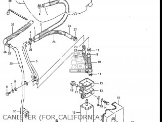 CANISTER (FOR CALIFORNIA) - GV1200GLF2 MADURA 1985 (F) USA (E03)