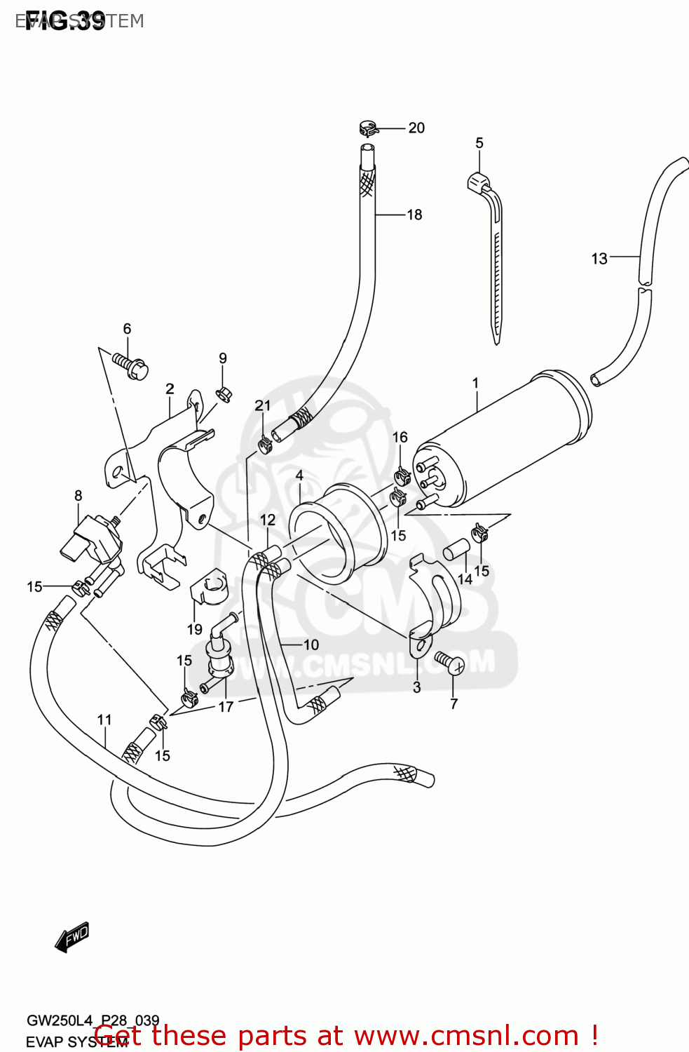 EVAP SYSTEM GW250 INAZUMA 2014 (L4) USA (E03)