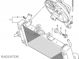 RADIATOR - GW250 INAZUMA 2014 (L4) USA (E03)