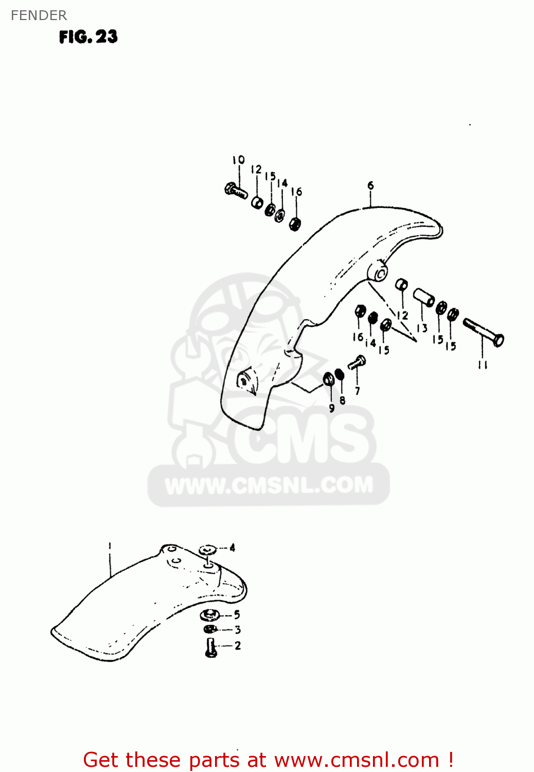 FENDER JR50 1981 (X) USA (E03)