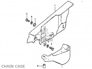CHAIN CASE - PE175 1982 (Z) USA (E03)