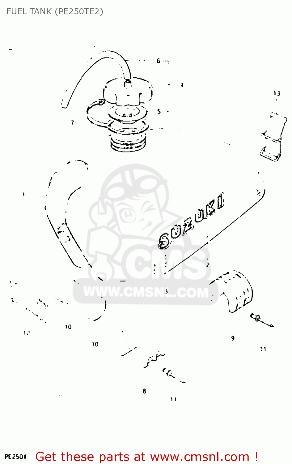 FUEL TANK (PE250TE2) PE250 1981 (X) (E01 E02 E04 E15 E21 E24)