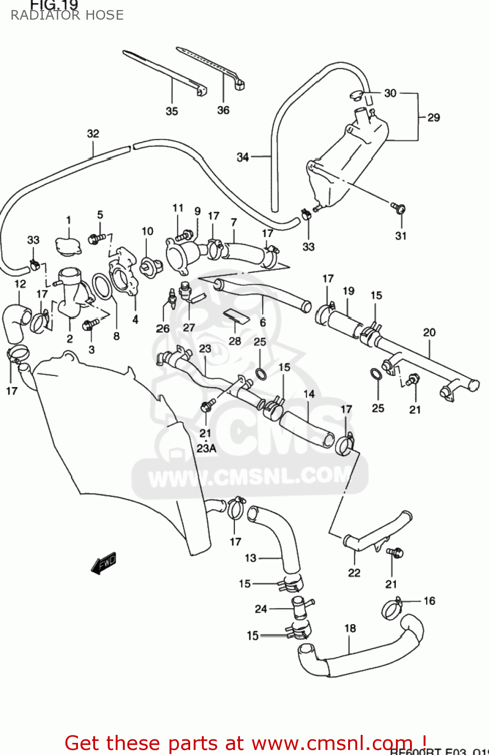 RADIATOR HOSE RF600R 1994 (R) USA (E03)