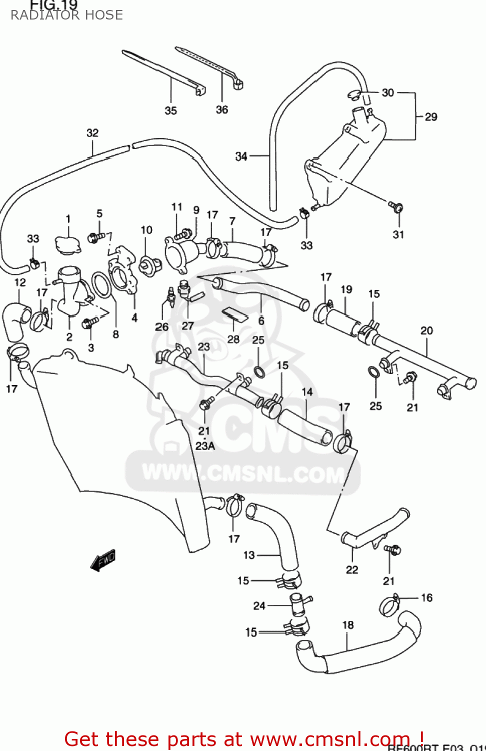 RADIATOR HOSE RF600R 1995 (S) USA (E03)