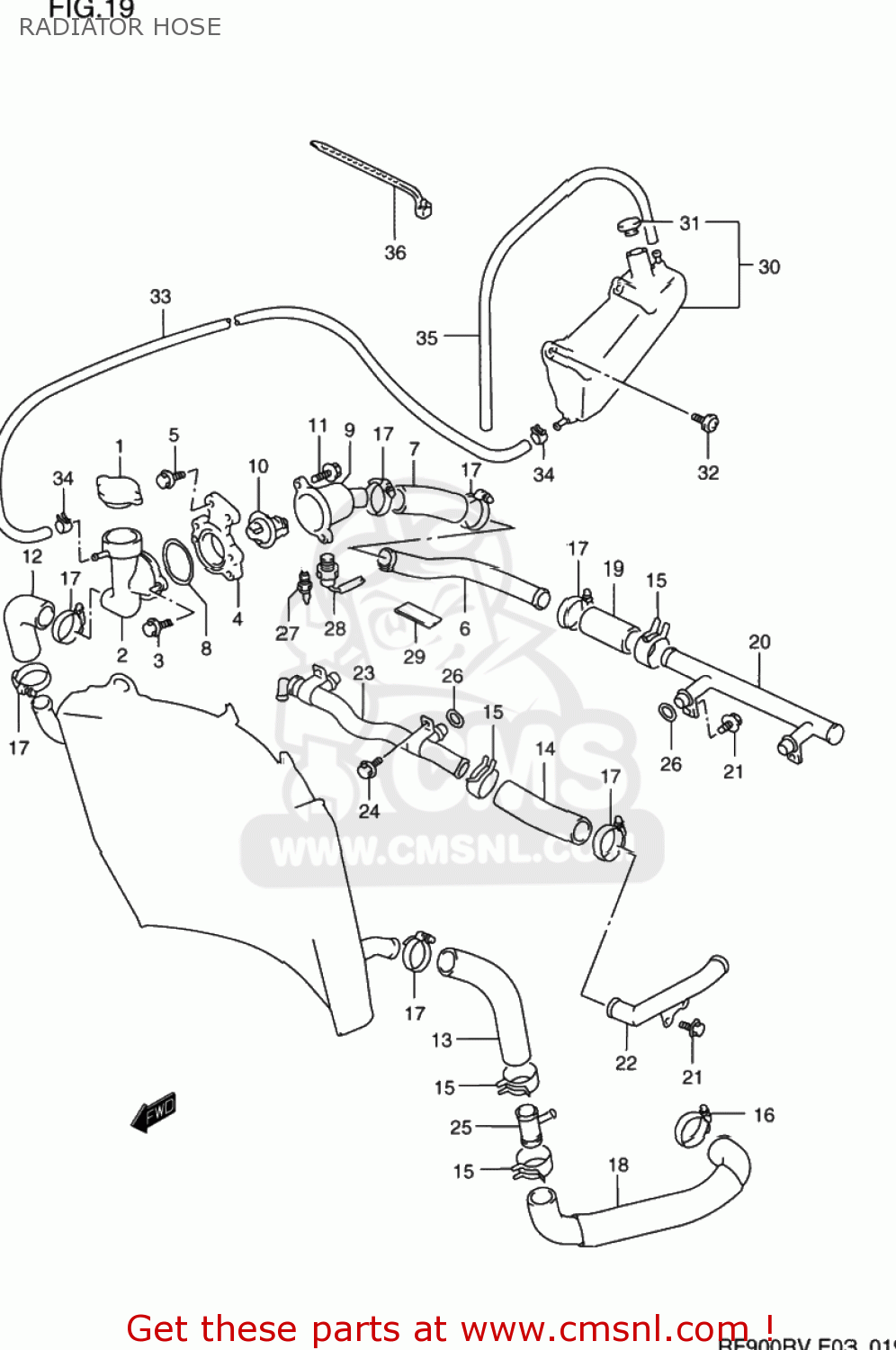 RADIATOR HOSE RF900R 1994 (R) USA (E03)
