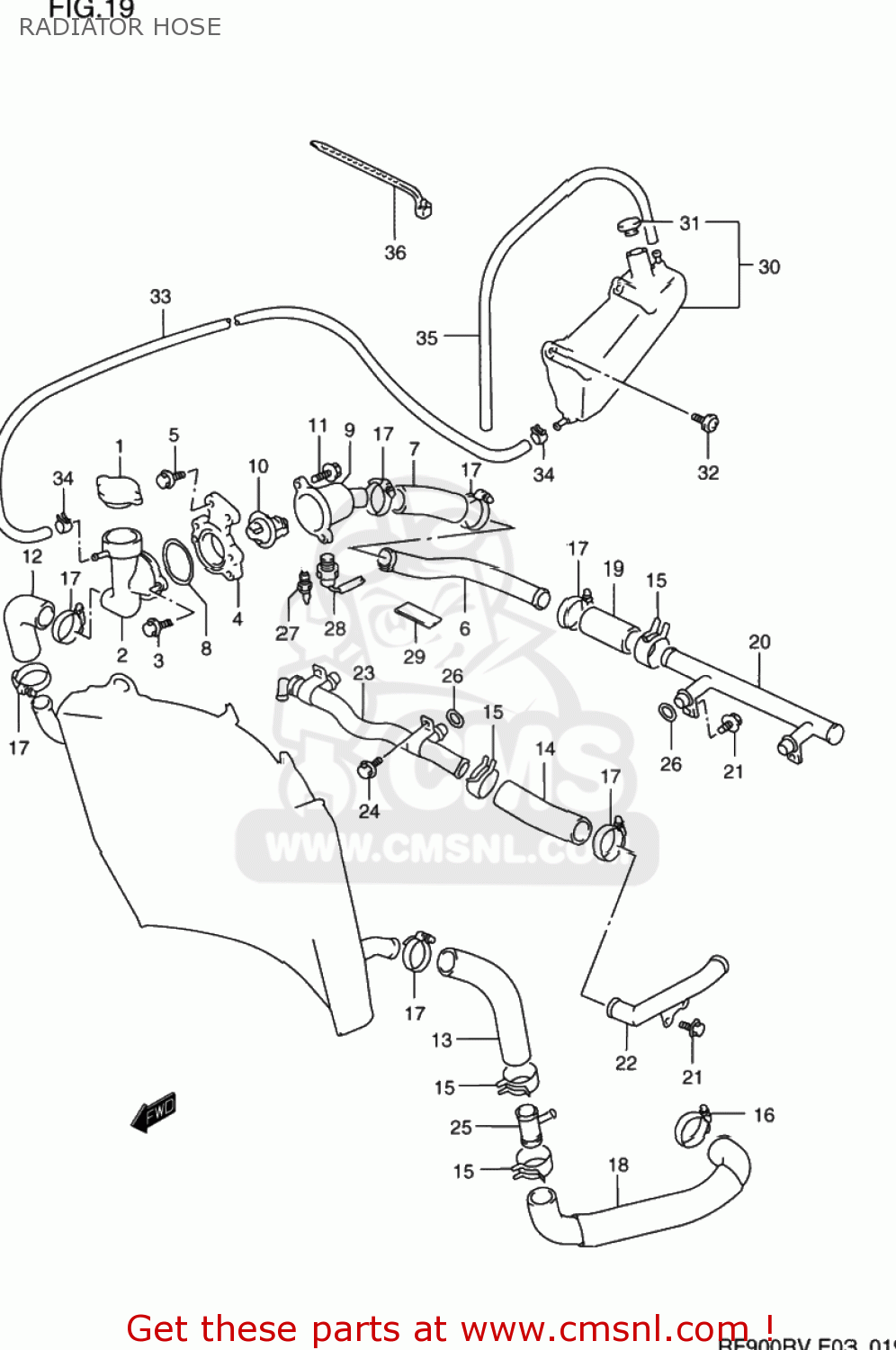 RADIATOR HOSE RF900R 1996 (T) USA (E03)