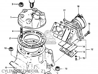 CYLINDER (MODEL Z) - RM125 1982 (Z) USA (E03)