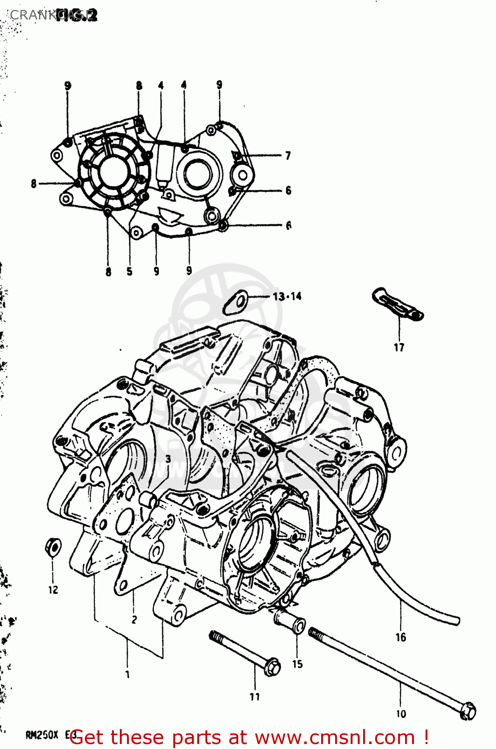 CRANKCASE RM250 1981 (X) USA (E03)