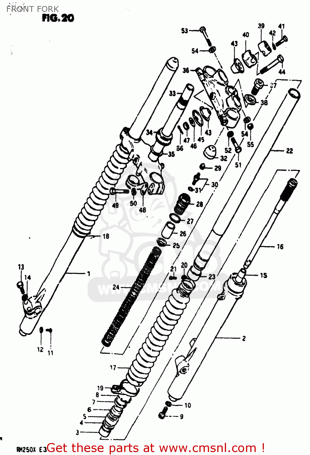 FRONT FORK RM250 1981 (X) USA (E03)