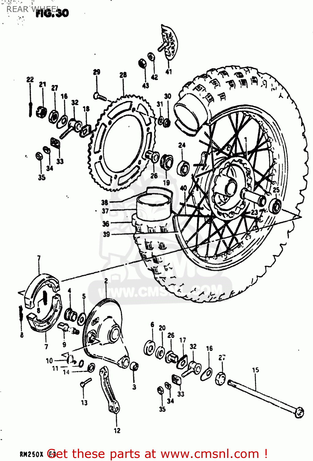 REAR WHEEL RM250 1981 (X) USA (E03)