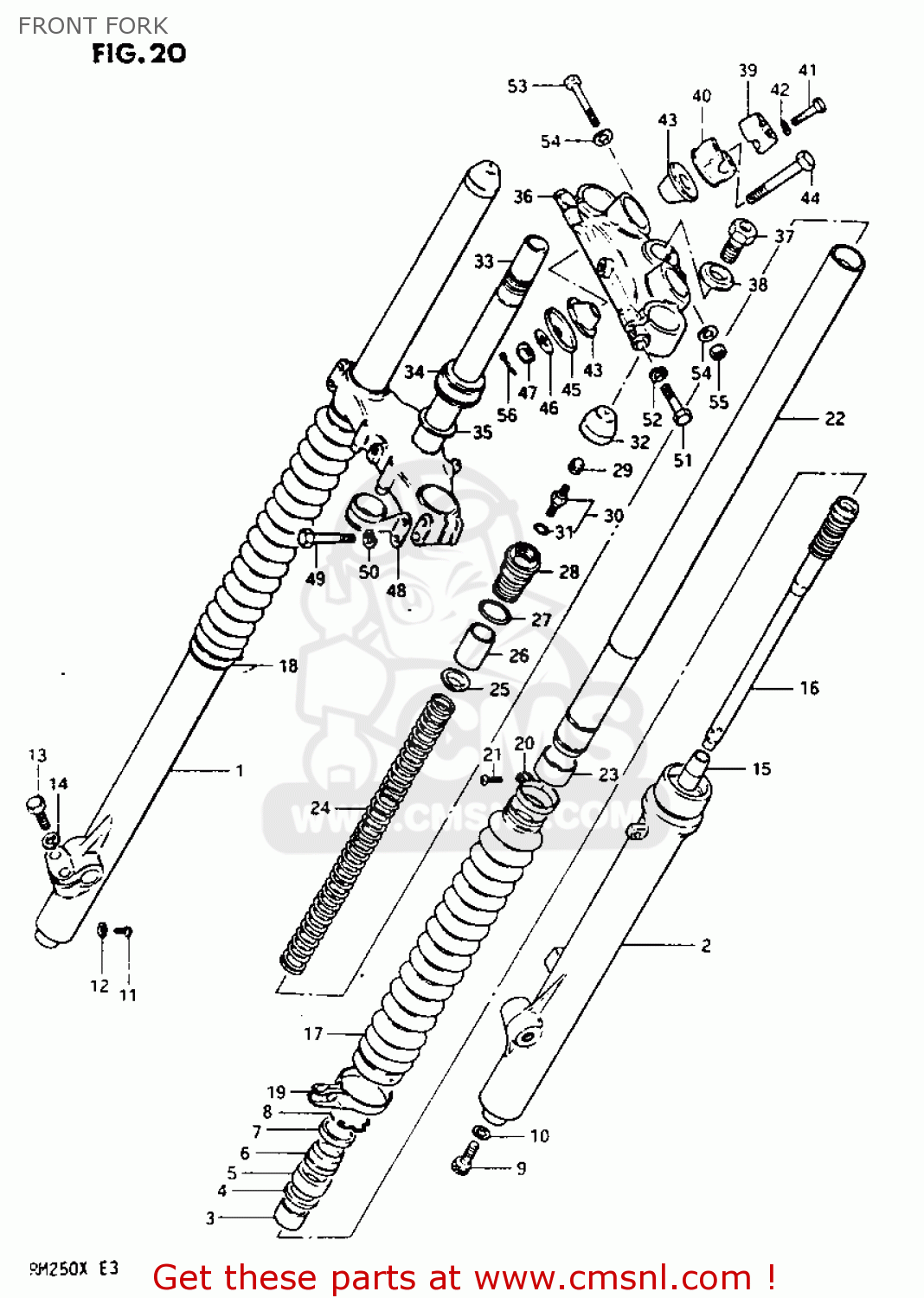 FRONT FORK RM250 1981 (X)